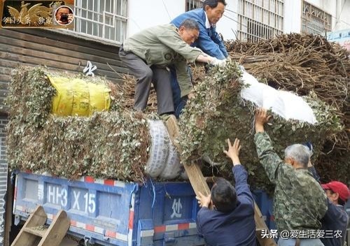 在农村投资几万块做什么好,20万在农村投资什么项目比较靠谱