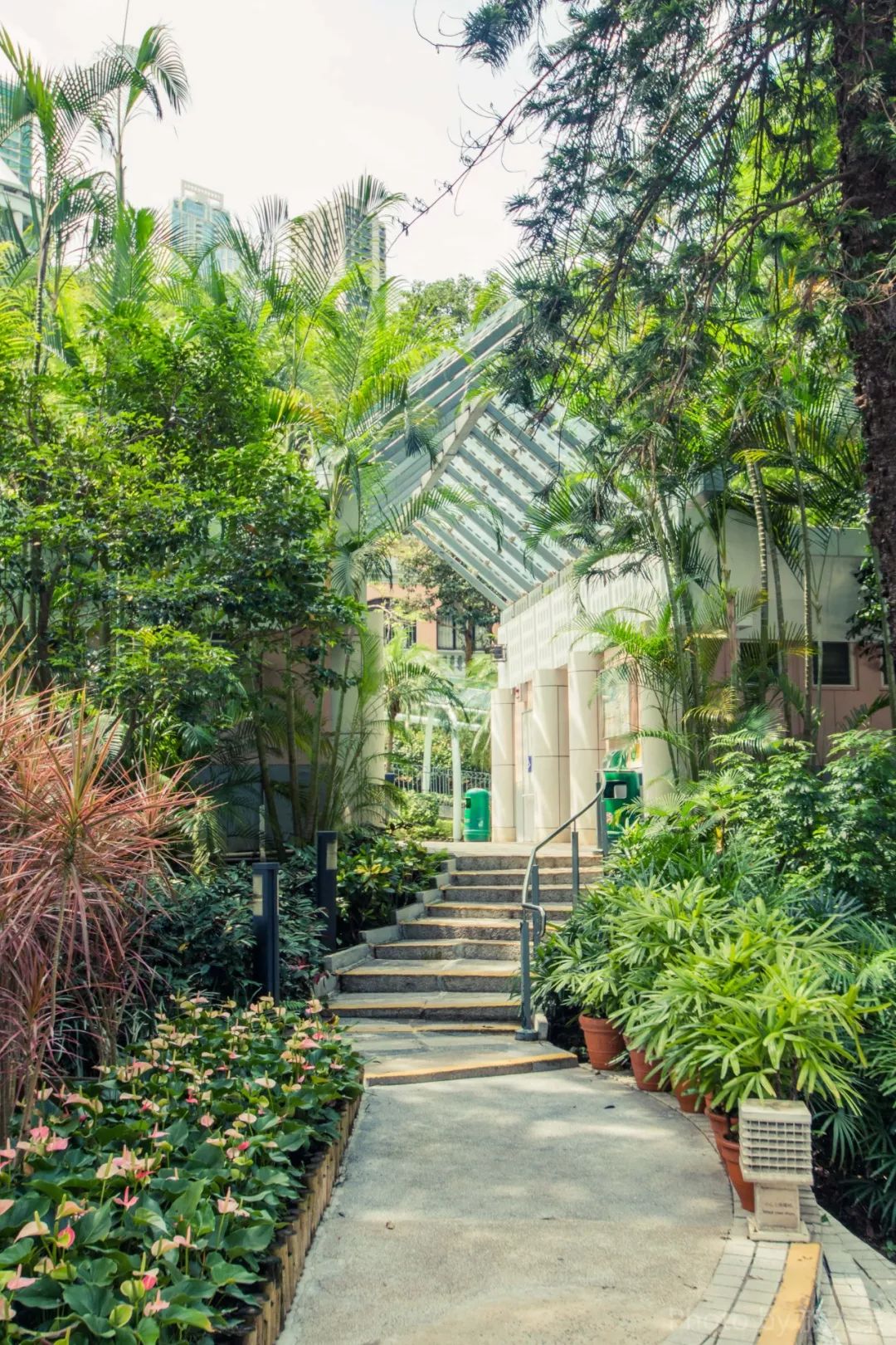 寸土寸金香港,寸土寸金的香港