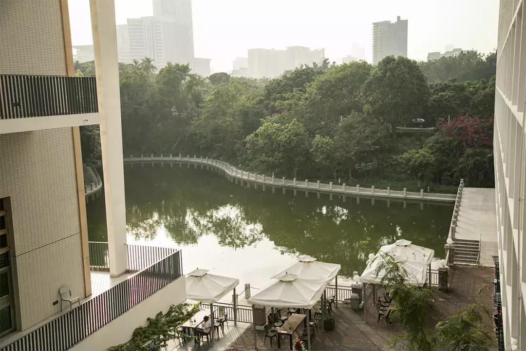 深圳大学游玩攻略一日游,深圳大学打卡攻略