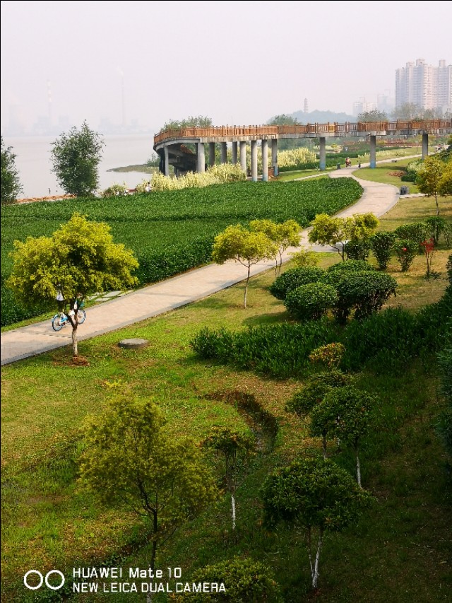 佛山市高明区,佛山市高明区最新房价