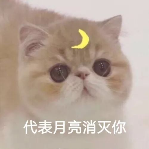 女生看到你就脸红是什么原因,女孩子见到你就脸红为什么