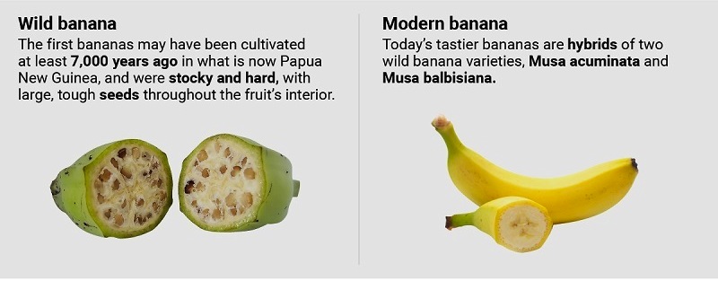 双11不看价格买手机,双十一看剧不剁手