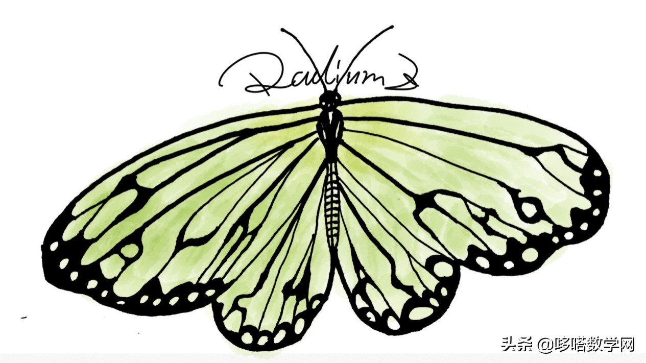 数学蝴蝶翅膀公式,蝴蝶翅膀上的数学