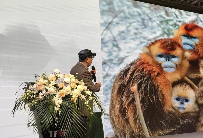 天府书展｜萌宝来袭！传播熊猫文化，《双宝150》图书正式发布