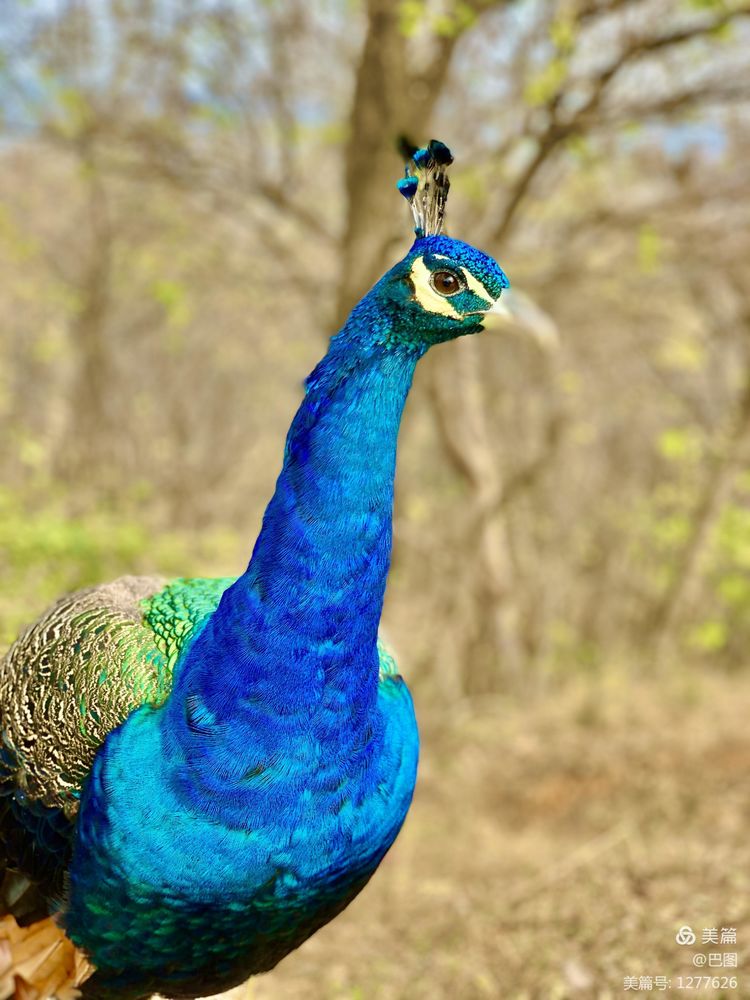 洛阳市宜阳凤凰岭射箭,宜阳县凤凰岭体育基地
