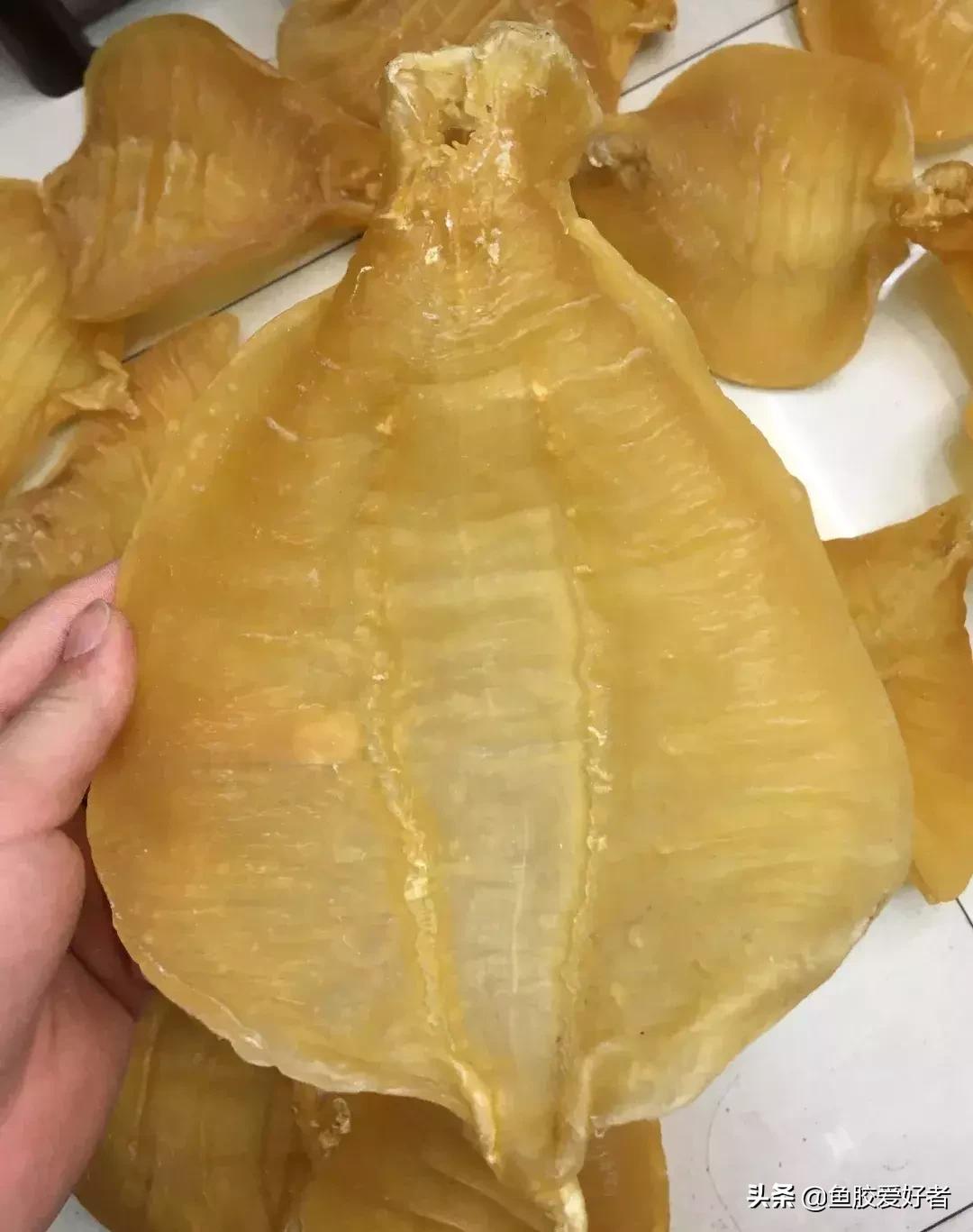 十大鱼胶排行,十大鱼胶品牌