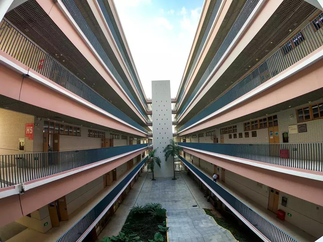 深圳大学游玩攻略一日游,深圳大学打卡攻略