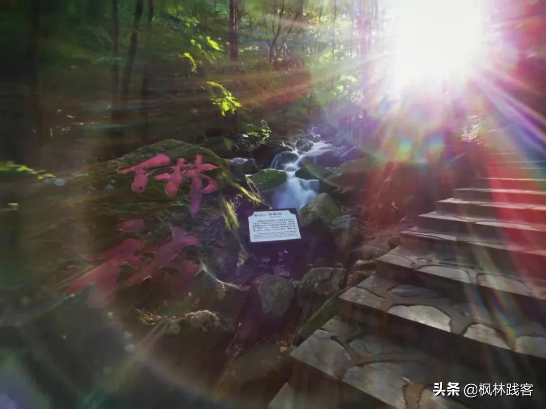 大自然不戴口罩的景点,夏日旅行好去处辽宁