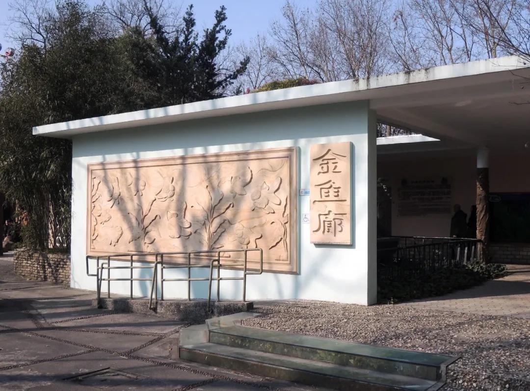 上海街头文字,上海街头多语言