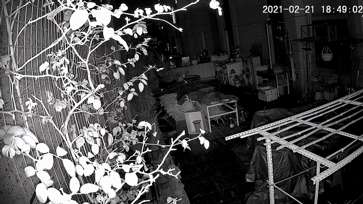 看家护院好帮手监控器,看家护院无网无电的监控器