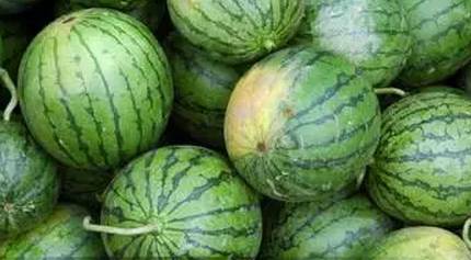 东北独一无二的水果,原生态水果原汁原味的家乡味道