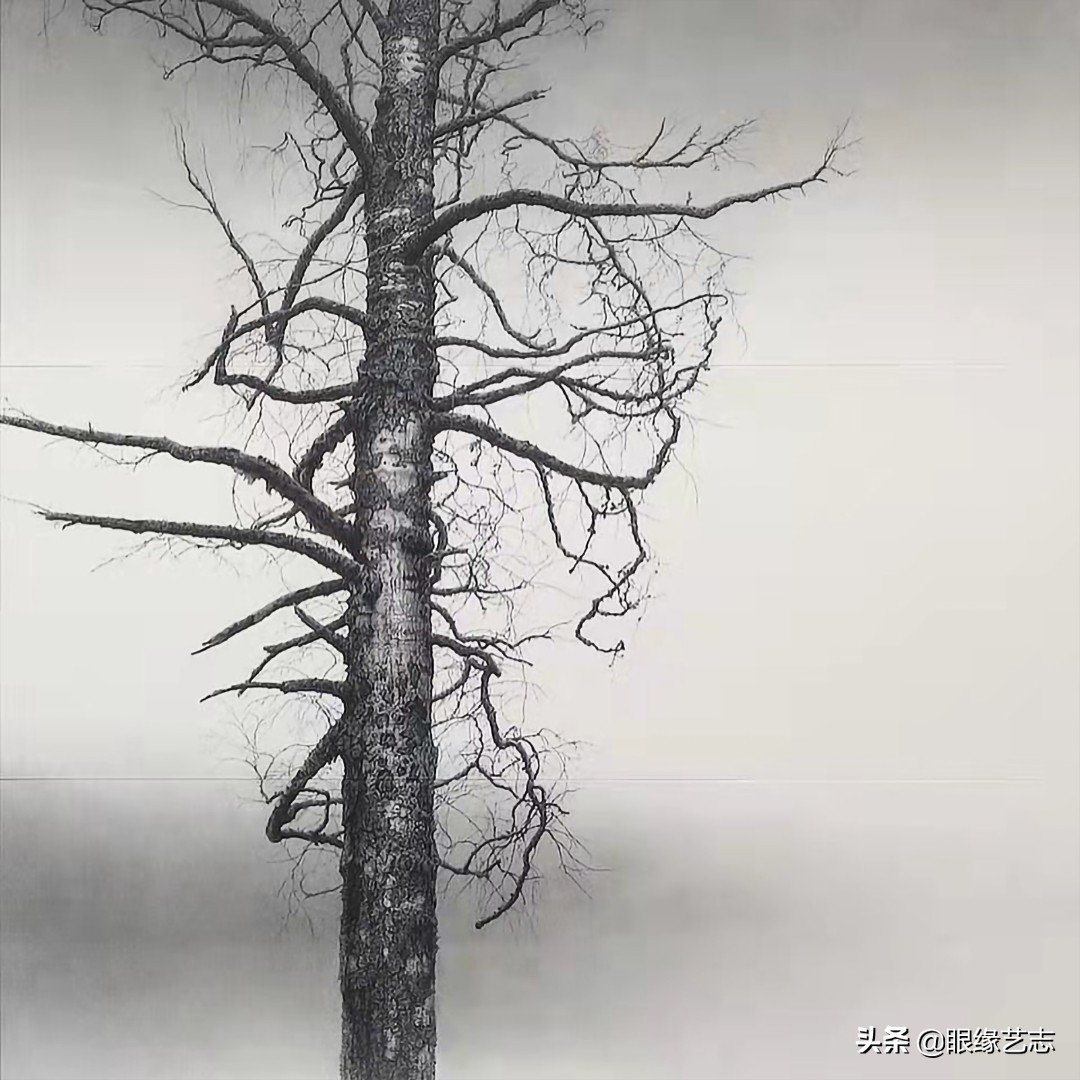 1440个小时的涅槃之画：黎明之树，佐藤裕一郎的心之风景