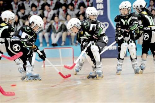 轮滑的分类,轮滑的种类图片大全