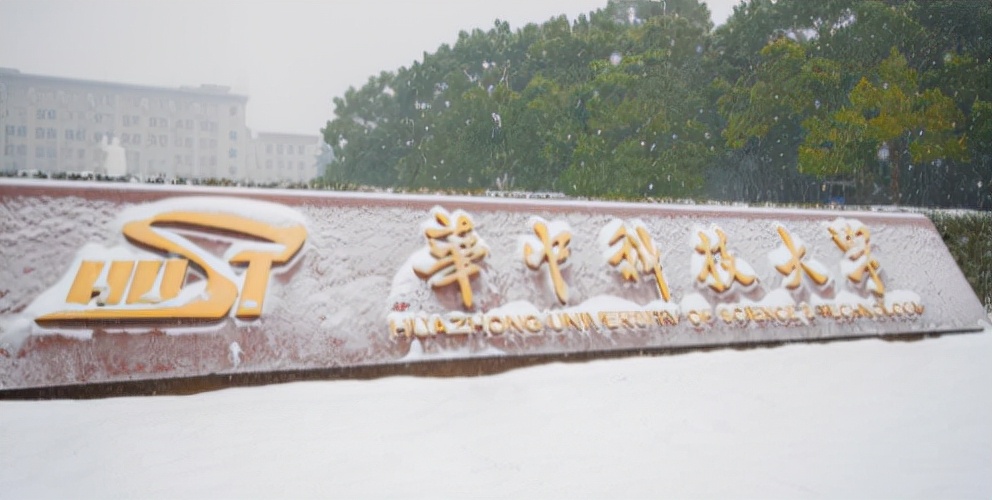 地方医学四大精英,医学四大精英