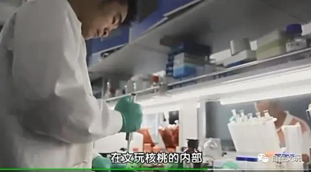 盘核桃会得肝病吗,吃核桃得肝癌