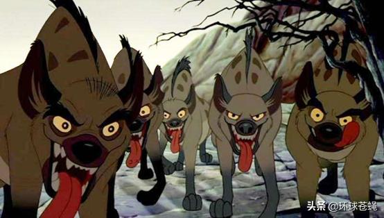 面对卑鄙无耻的掏肛专家，肌肉发达的精壮猎物，为何不逃跑？