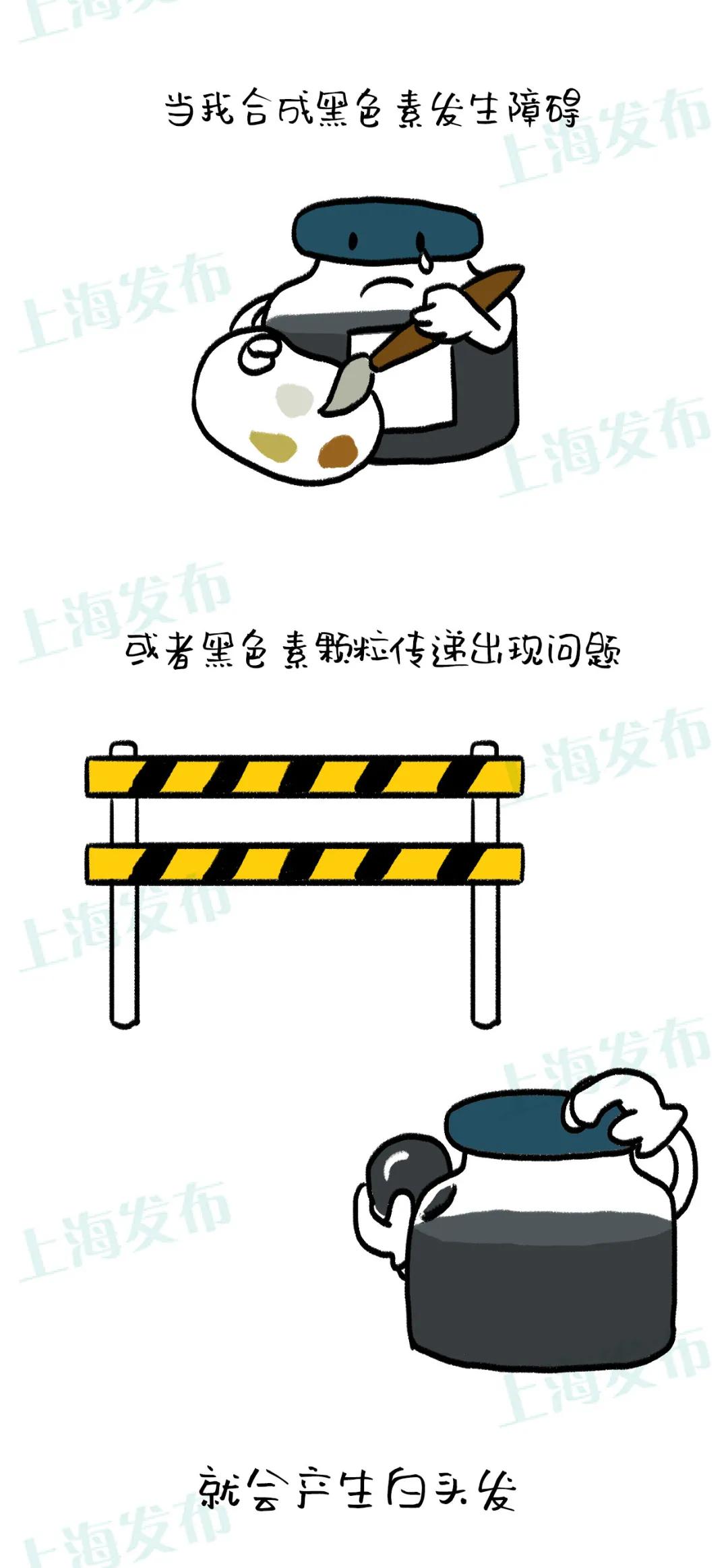 【医聊】年纪不大却长了白头发，需要紧张吗？