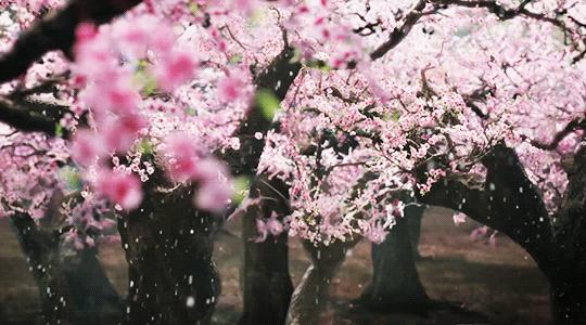 天津今明两年新开通哪些地铁线路,天津新建地铁最新消息