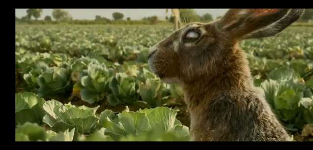 调音师的三层解析,调音师短片深度解析