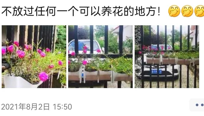 微商十大真相,微商行业的八大心态