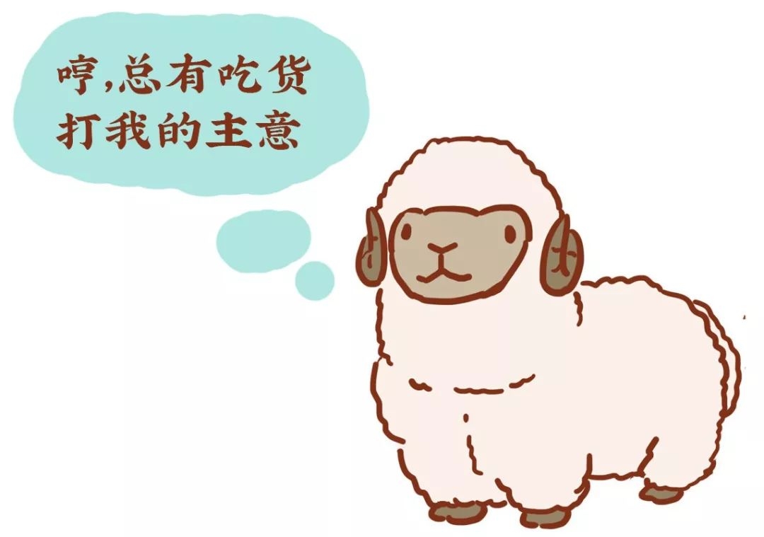 羊身上哪里肉贵,羊身上哪个部位便宜