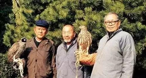 一“顽”到老王世襄：架鹰盘鸽斗蛐蛐，越老玩得越高级