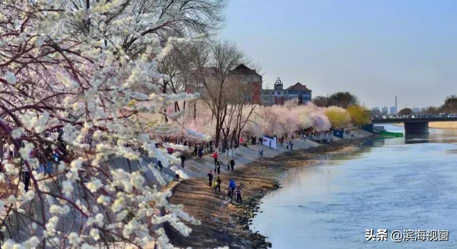 天津今明两年新开通哪些地铁线路,天津新建地铁最新消息