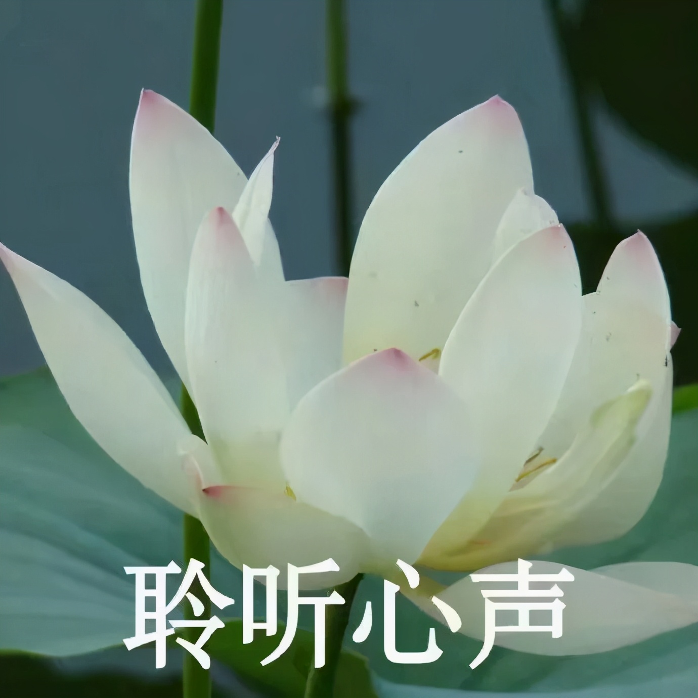 为什么韩国人总能把丑鞋穿成爆款，拍照技巧发色妆容，配饰少不了