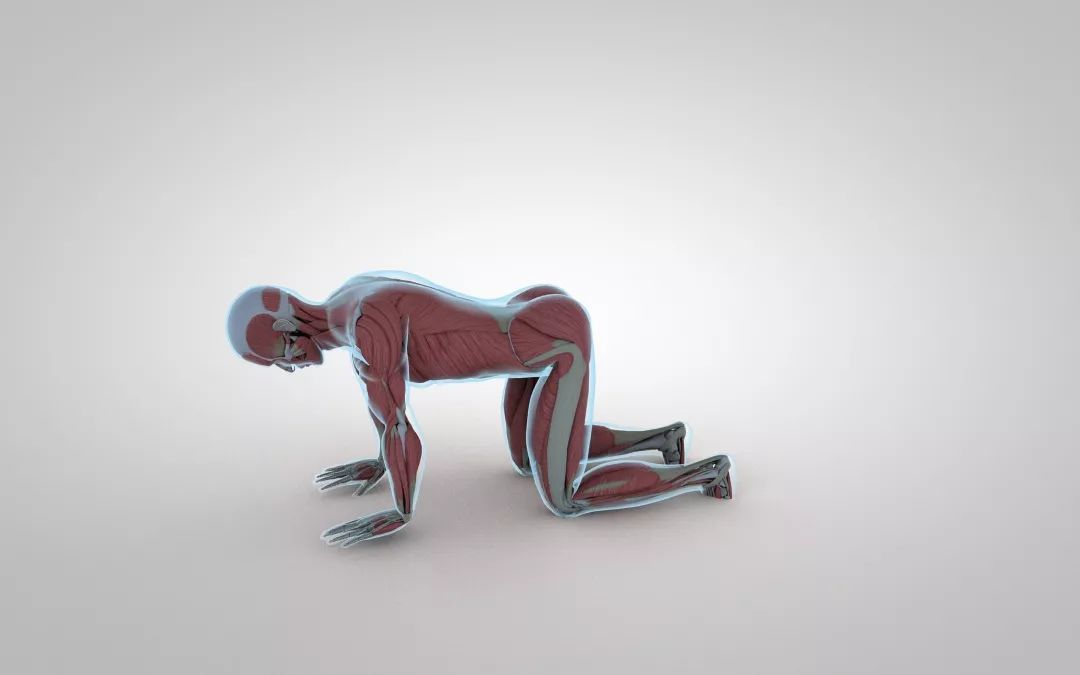 5个臀部动作练屁股,5个需要了解的臀部训练