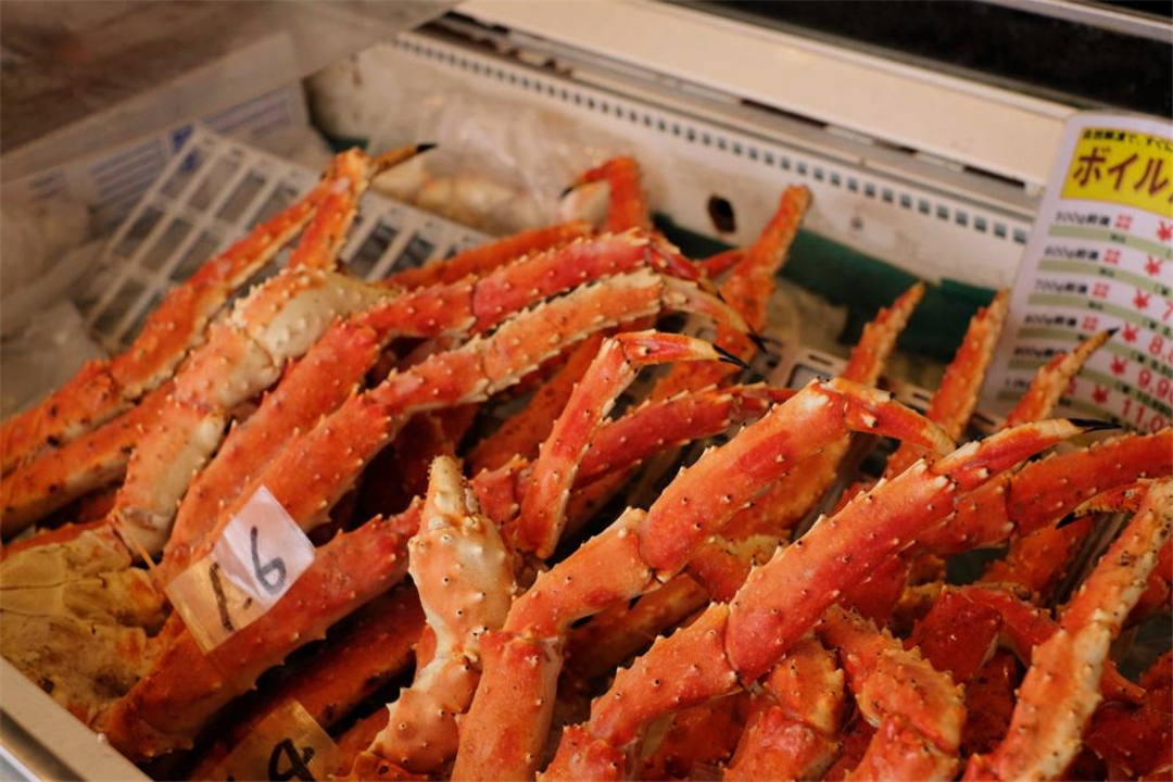 日本札幌县,日本札幌市一年四季