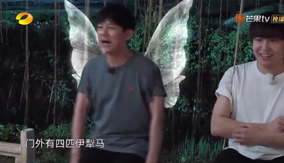 盘点笑出鹅叫声的人,盘点那些笑岔气的方言名场面