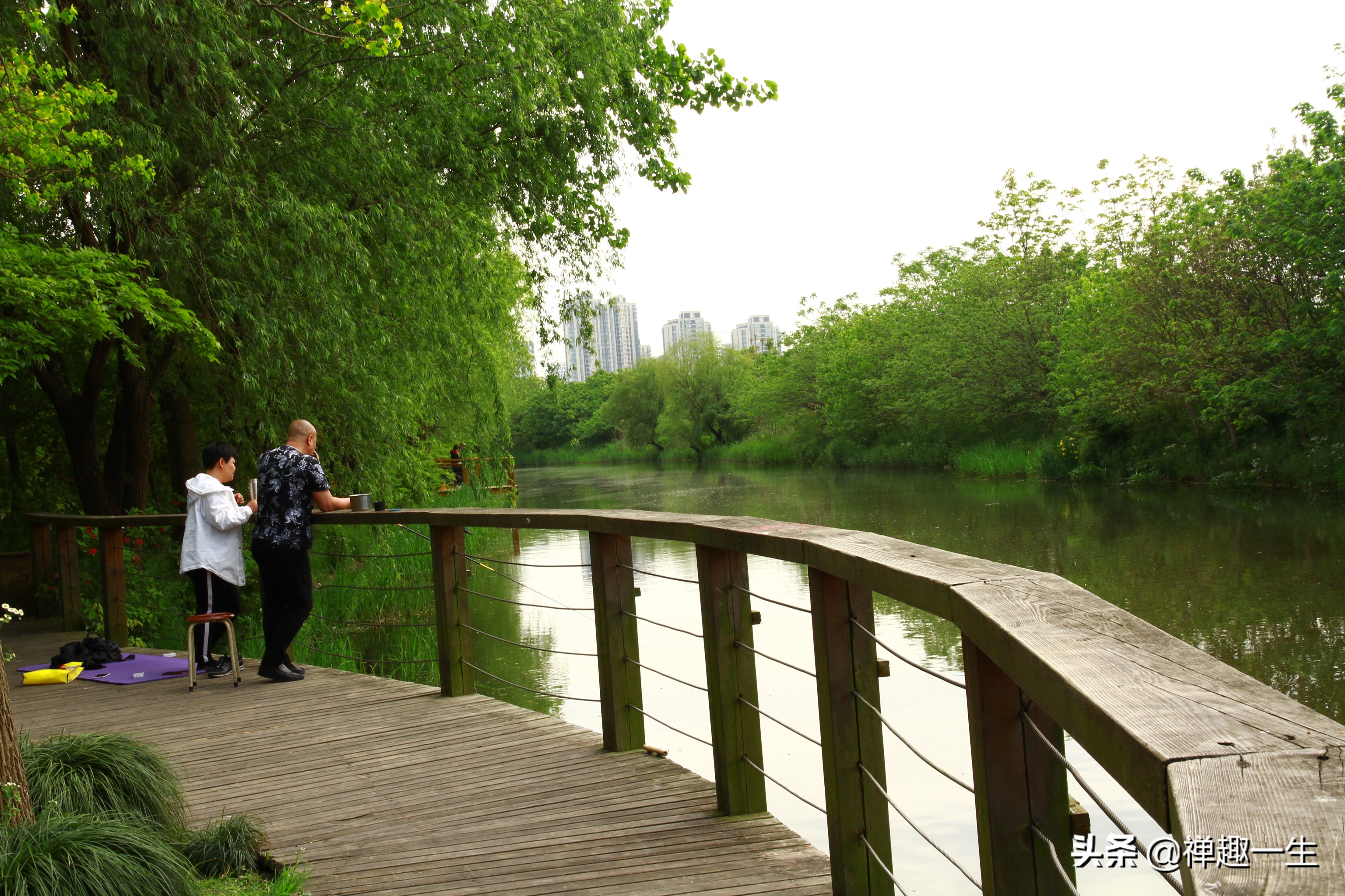 九曲江湾，十里湿地，鸟语花香，沪上最美中心城区，您去过吗？