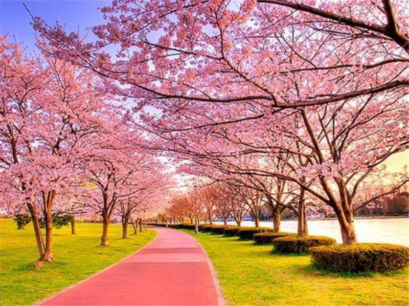 日语学习|8个表示“在…时候”的语法，全认识给你一颗棒棒糖