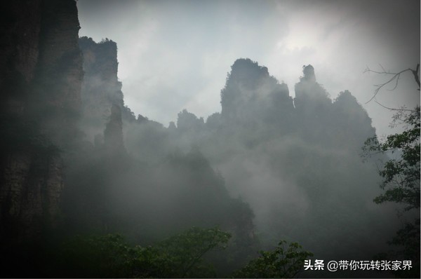 结伴赴张家界旅游,张家界国家森林公园门票多少钱