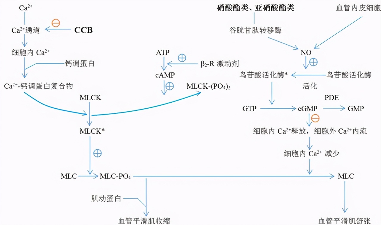 有冠心病经常害怕受惊吓怎么办,得了冠心病每天提心吊胆怎么办