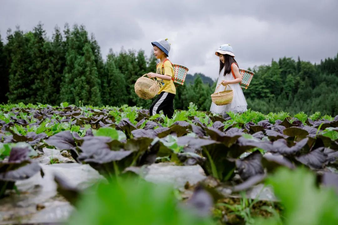 生活与态度,生活态度与健康