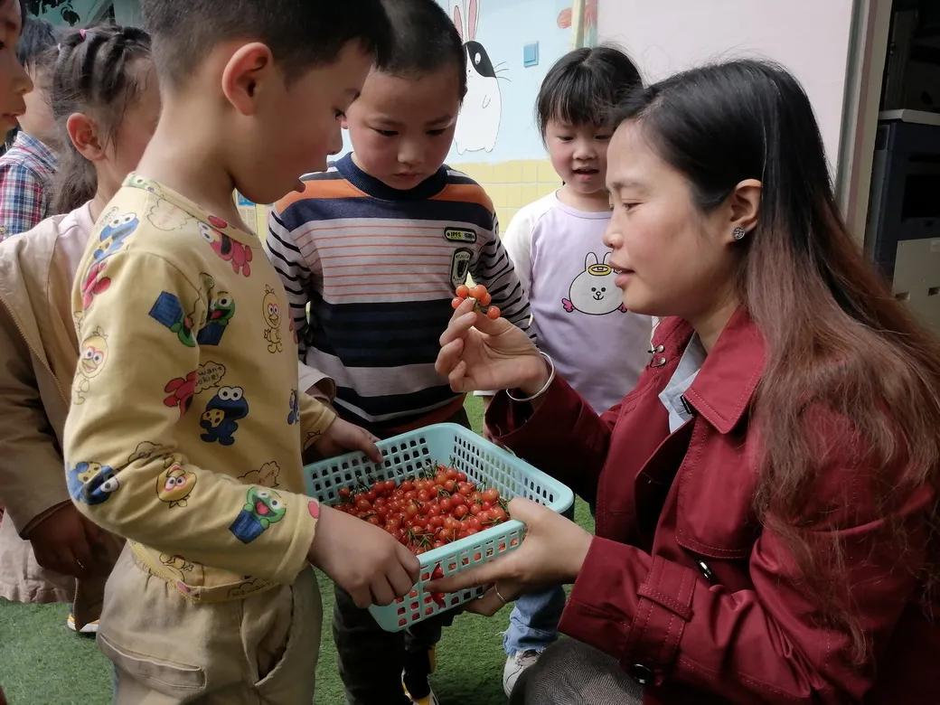 成都市双流区告捷幼儿园主题活动,天府新区幼儿园活动