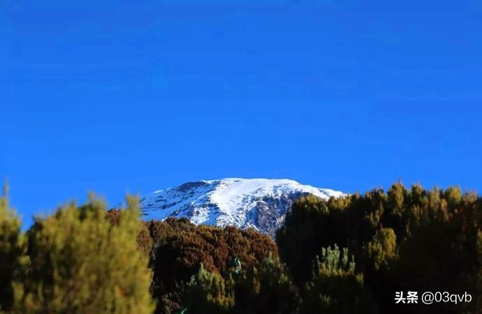 鏈涙棤杈归檯鐨勬捣,鏈涙棤杈归檯