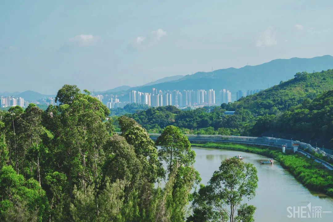 罗湖发达吗,罗湖区的实力到底有多强