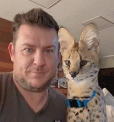 战斗民族的猫就是虎,战斗中的民族猫