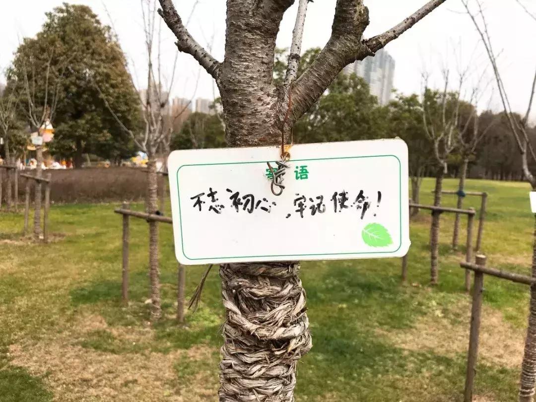 无锡遛娃户外免费,无锡惠山区遛娃好去处