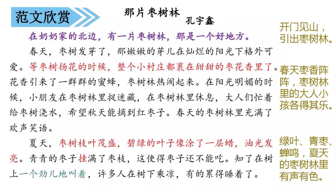 部编三年级第六单元作文这儿真美,三年级第六单元作文这儿真美300字