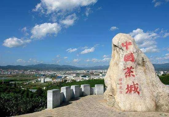 你也喜欢普洱茶吗,和你喝普洱茶的人