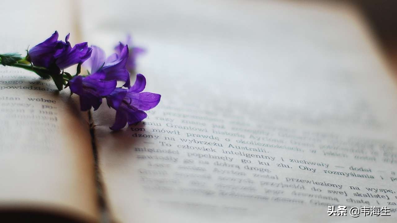 读书习惯如何养成,怎样让孩子养成读书习惯