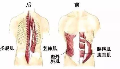 缓解腰疼腰肌劳损四个动作,下腰疼最快缓解方法腰肌劳损