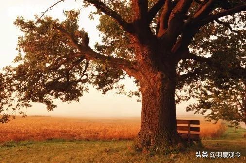 湖南方言不同之处,趣味横生的读音