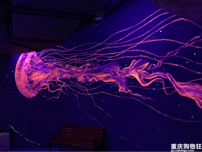 巴南三天两夜游玩攻略,下次去重庆哪里好玩