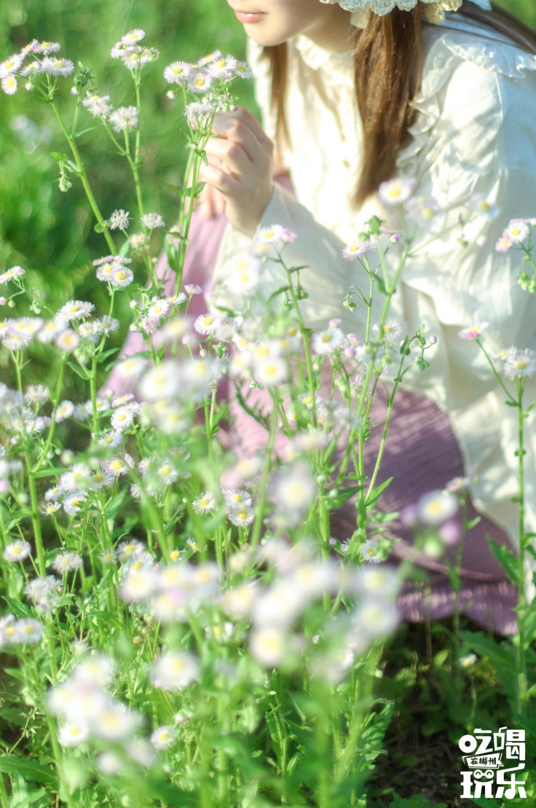 千岛湖100公里内游玩,来千岛湖看一场绝美日落