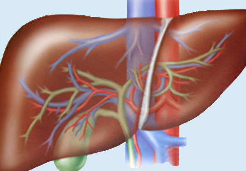 乙肝患者身上出现小红点图片,乙肝肝硬化身上起红点是怎么回事