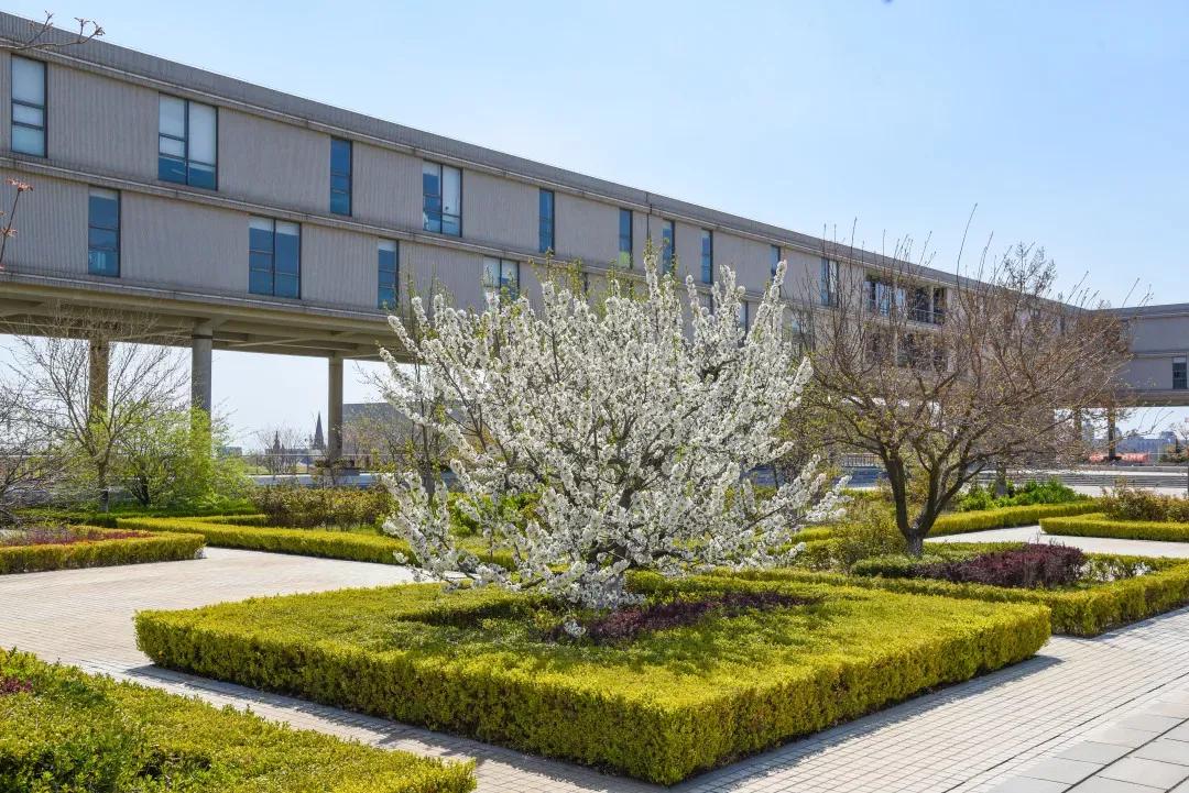 辽宁大学和鲁迅美术学院,辽宁省鲁迅美术学院是985吗